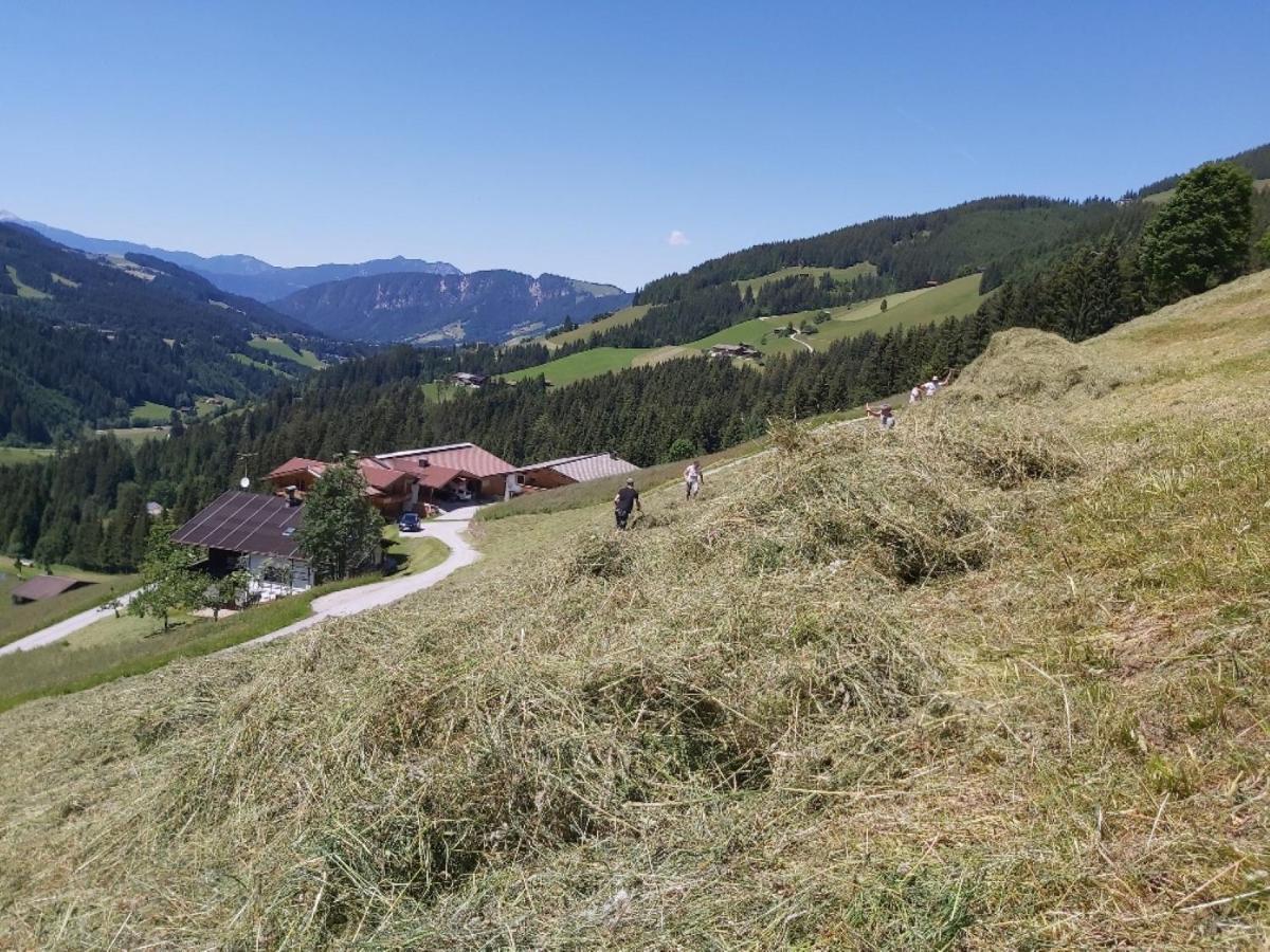 Praedastenhof Auffach Exteriér fotografie