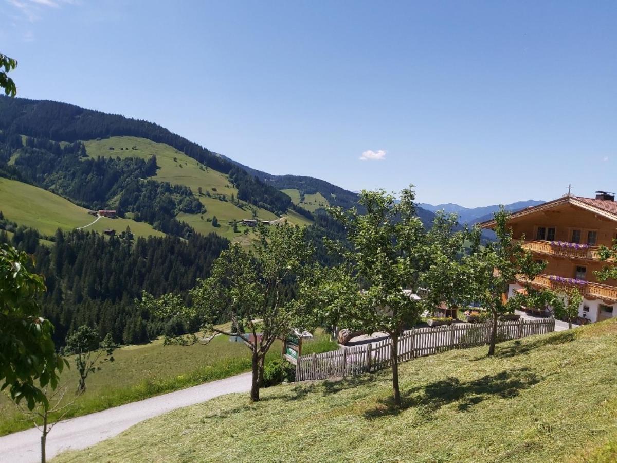 Praedastenhof Auffach Exteriér fotografie